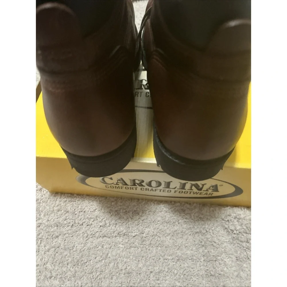Carolina 6